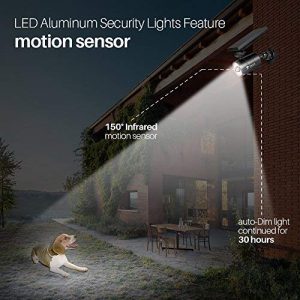 Solar Lights Security
